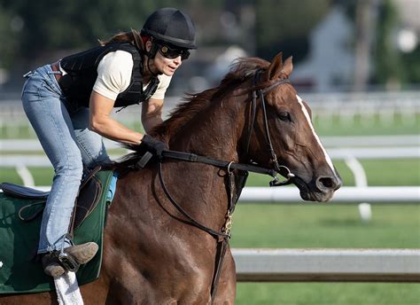 Channel Maker, male turf champion of 2020, retired from racing